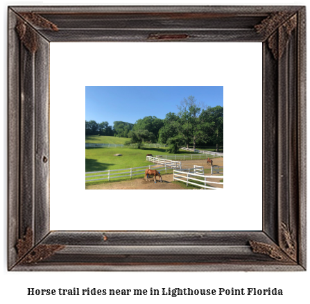 horse trail rides near me in Lighthouse Point, Florida